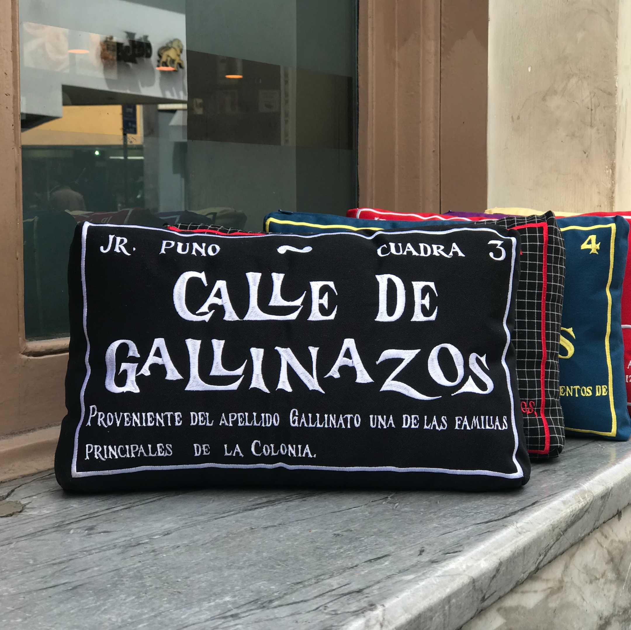 Cojín Calle de Gallinazos